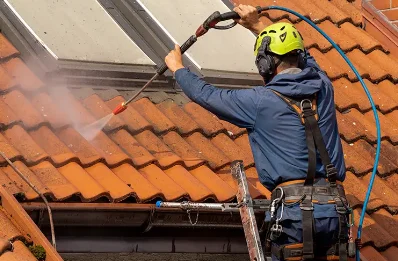Démoussage et hydrofuge de toiture à Brusvily